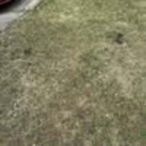 Meet your Posher, Ron